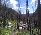 Montana2011  158